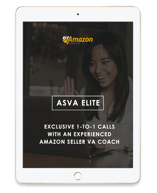 Exclusive 1-to-1 calls with an experienced Seller VA coach